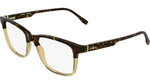 217 - HAVANA/TRANSPARENT CARAMEL / 