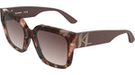 281 - SPOTTED NUDE TORTOISE / 