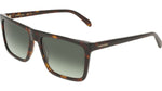 242 - DARK TORTOISE / 