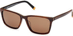 62H - Brown Horn / brown polarized