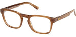 062 - Brown Horn / 