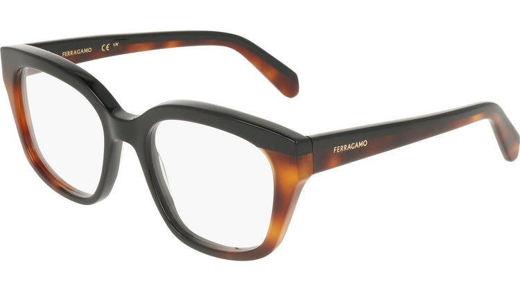 006 - BLACK/TORTOISE