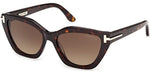 52F - Dark Havana / gradient brown