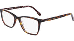 216 - MAPLE TORTOISE / 