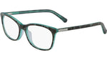 458 - TEAL TORTOISE 458 / 