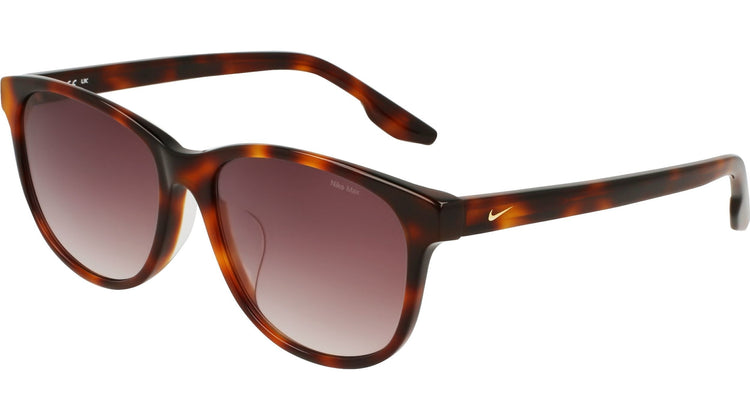 211 - TORTOISE / MOCHA GRADIENT