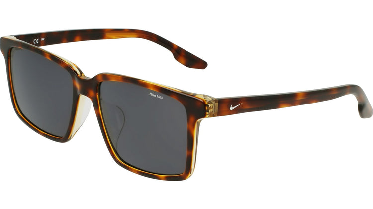 200 - TORTOISE / AMBER LAMINATE