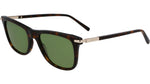242 - DARK TORTOISE / 