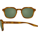 Havana / Bottle Green (AR)