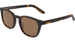 246 - MATTE TORTOISE/LL BROWN / 