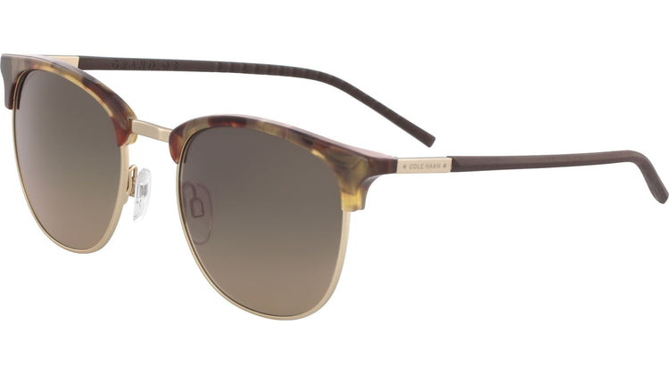 245 - BROWN TORTOISE