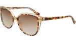 243 - MOCHA TORTOISE / 