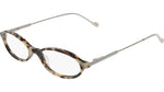 121 - BONE TORTOISE / 