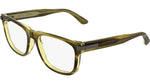 203 - TRANSPARENT STRIPED BROWN / 
