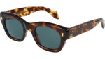 002 - OLD BROWN HAVANA / 