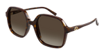 HAVANA / BROWN
