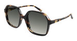 HAVANA / GREY