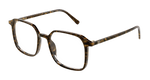 HAVANA / TRANSPARENT