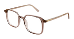 BEIGE / TRANSPARENT