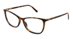 HAVANA / TRANSPARENT