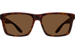 Chestnut / Sequoia Polarized (AR)