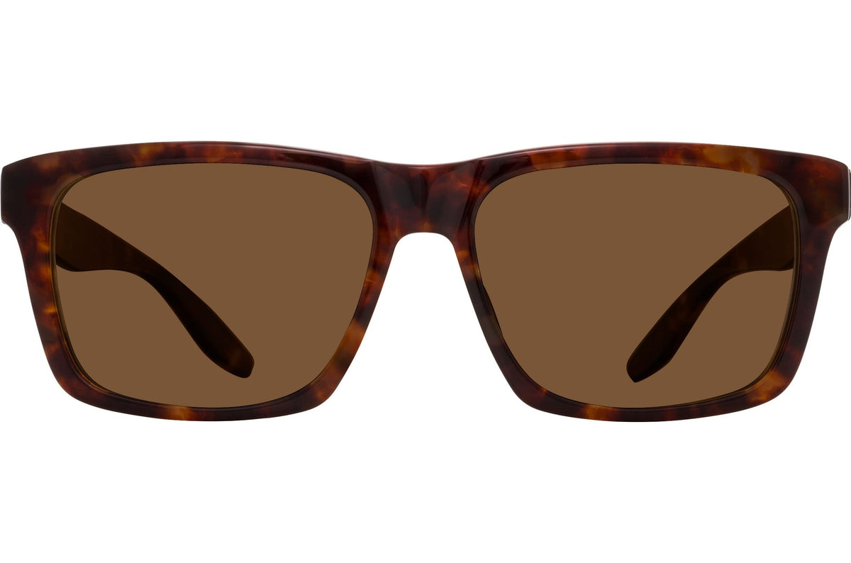 Chestnut / Sequoia Polarized (AR)