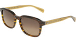 210 - TRANSPARENT STRIPED BROWN / 