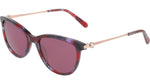 650 - FRUIT PUNCH TORTOISE / 