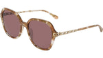 204 - TAUPE TORTOISE / 