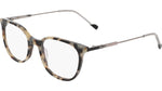 121 - BONE TORTOISE / 