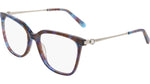 425 - BLUEBERRY TORTOISE / 