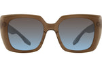 Mocha / Solara (AR)