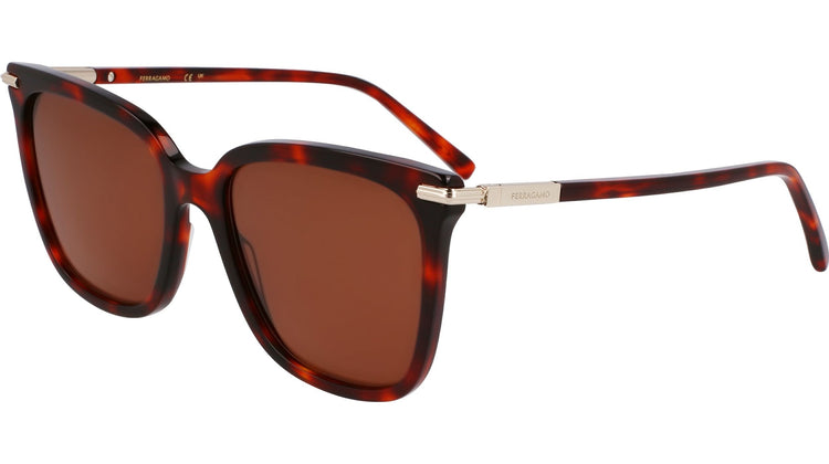 640 - RED TORTOISE