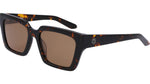 240 - SHINY TORTOISE/LL BROWN / 