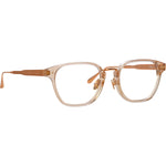 004 - ASH/ ROSE GOLD/ OPTICAL / 
