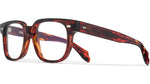 002 - RED HAVANA / 