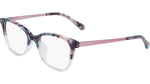 505 - PLUM GRADIENT