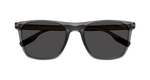 GREY / BROWN / SMOKE