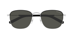 SILVER / GREY