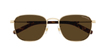 GOLD / BROWN