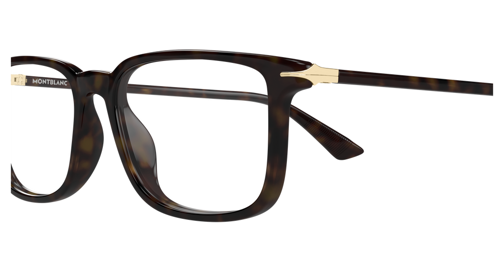HAVANA / TRANSPARENT