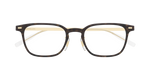 HAVANA / GOLD / TRANSPARENT