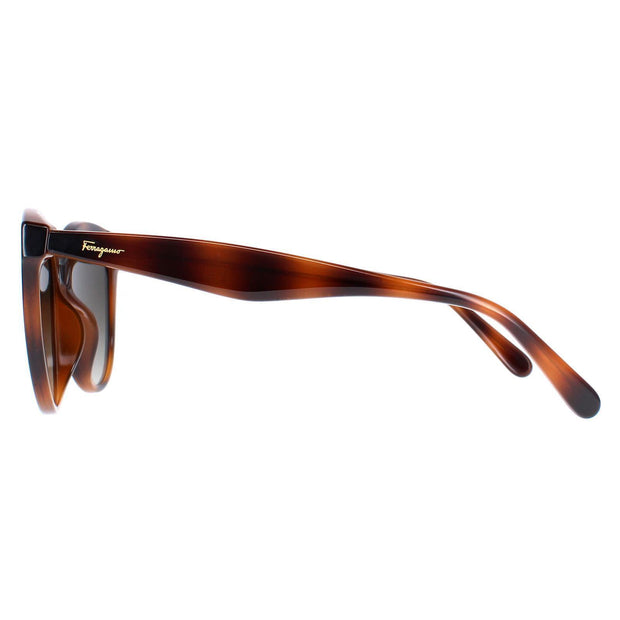 Ferragamo SF1073S 240 Cat Eye Sunglasses