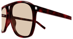 HAVANA / BROWN