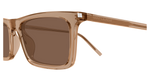 BROWN / BROWN