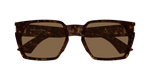 HAVANA / BROWN