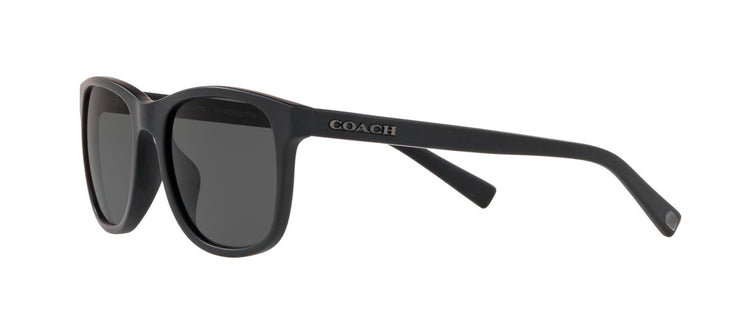 Coach 0HC8283U 500287 Oval Sunglasses