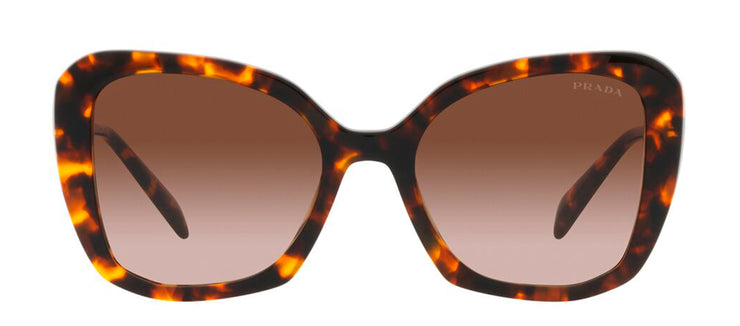 Prada PR 03YS VAU6S1 Butterfly Sunglasses