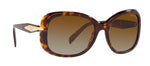 Prada PR 04ZS 2AU6E1 Butterfly Polarized Sunglasses