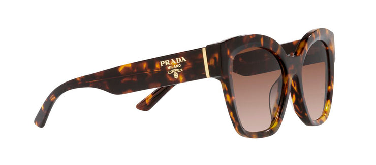 Prada PR 17ZS VAU6S1 Butterfly Sunglasses